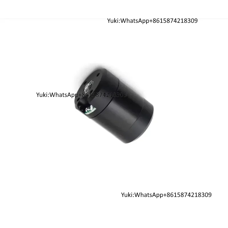 SUBFF Novo Motor Sem Escovas 1 - Dc Motor 12V avaliação e preço