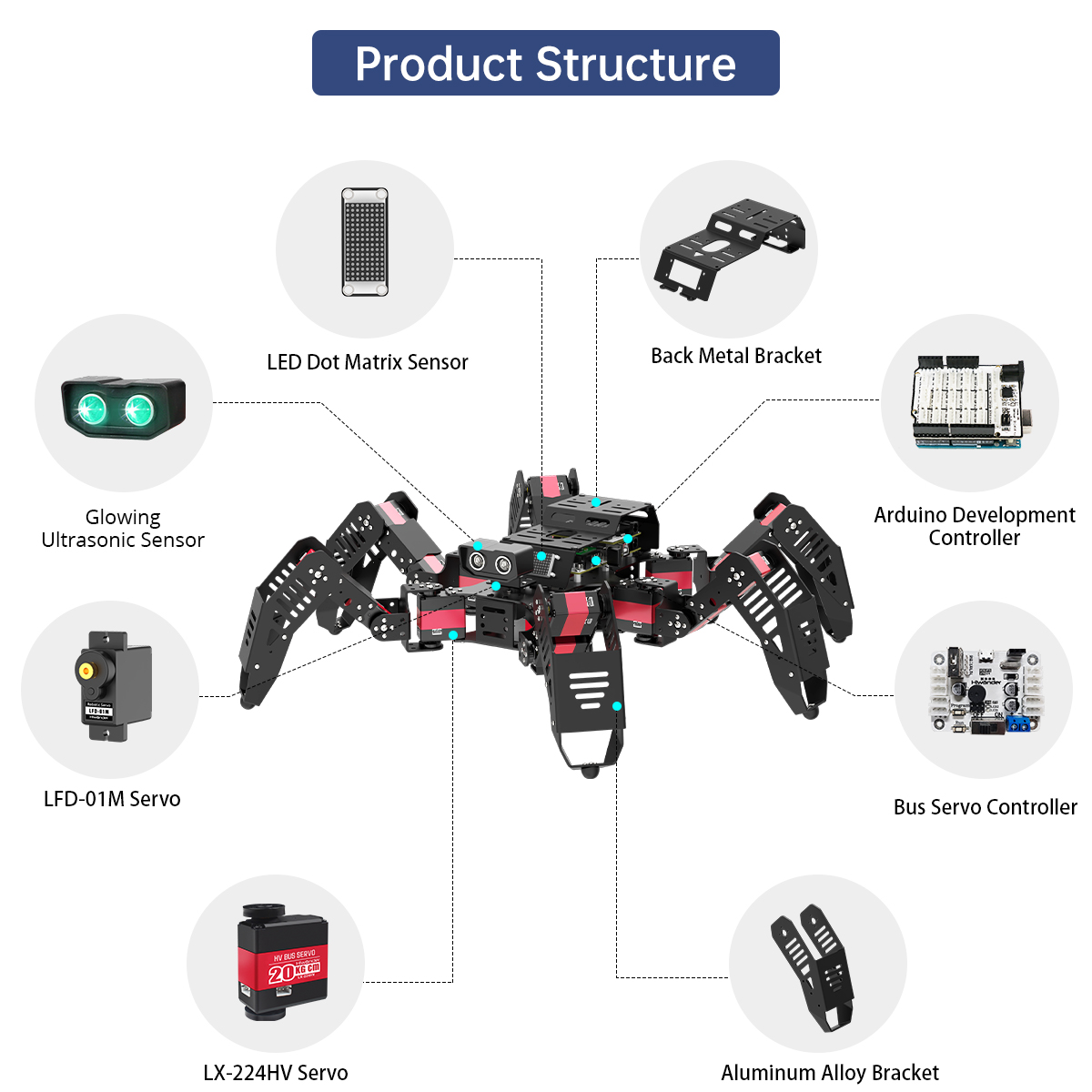 Hiwonder Spiderbot Robô Biônic - Robotics Kit avaliação e preço