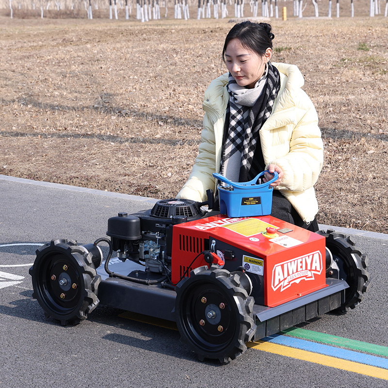 Robô cortador de grama persona - Robot Wheel avaliação e preço